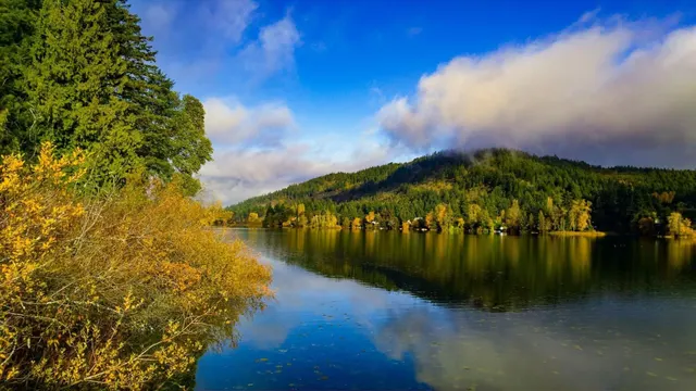 The Boardwalk Loop at Langford Lake