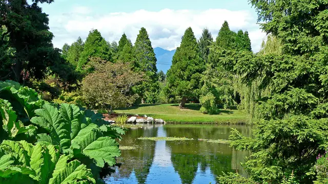 Lose an Afternoon at VanDusen Botanical Garden
