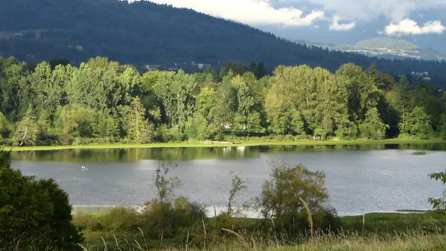 Pedal a Boat Across Deer Lake