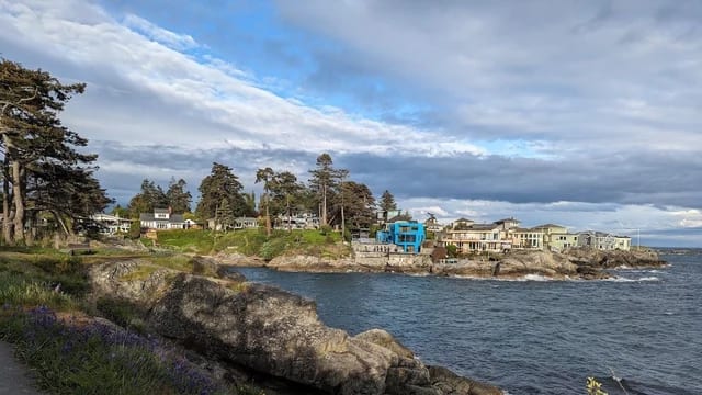 Shoreline Loop at Saxe Point Park