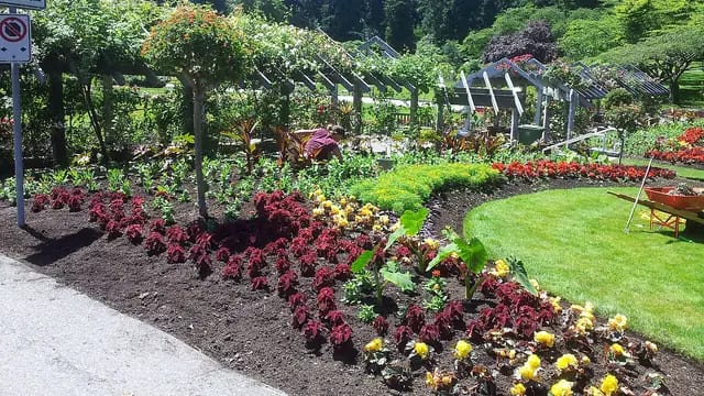 Stop and Smell 3,500 Roses