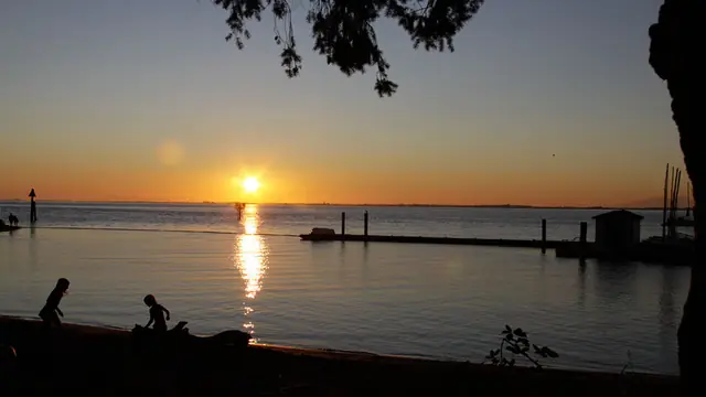 Driftwood Sunset at Crescent Beach