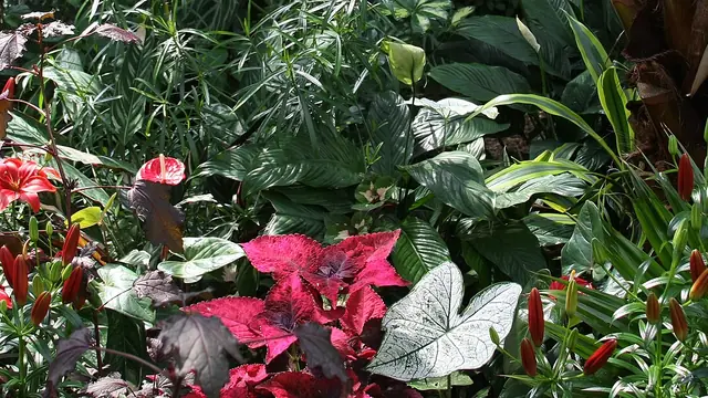 Tropical Escape at Bloedel Conservatory