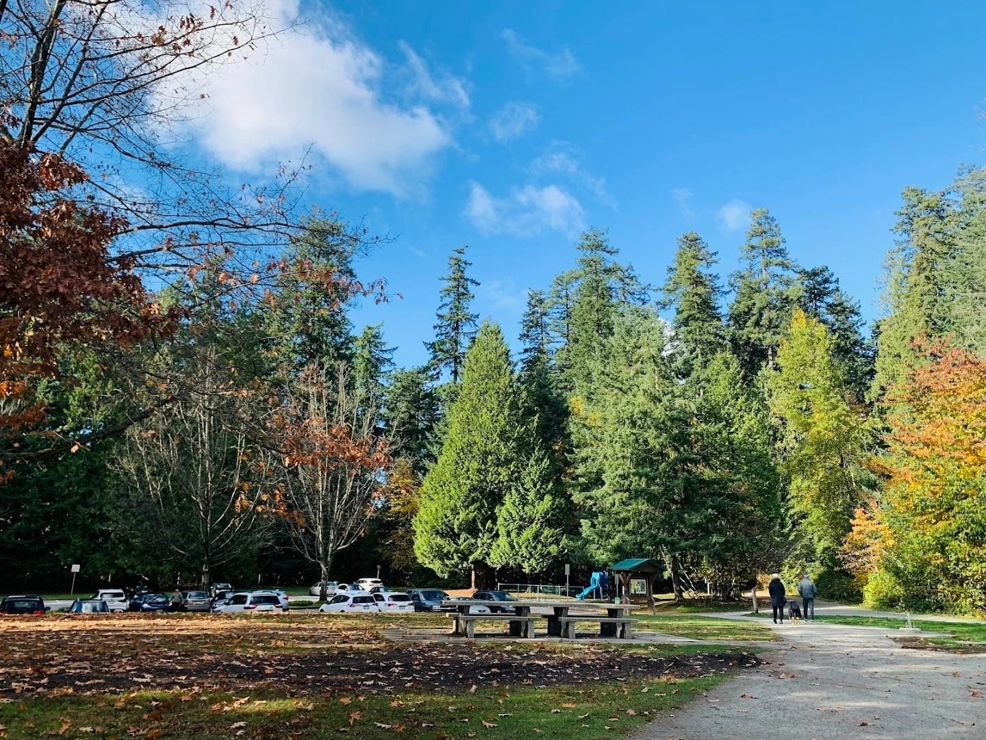 Play Pitch & Putt Under the Firs at Central Park, Central Park, Vancouver BC