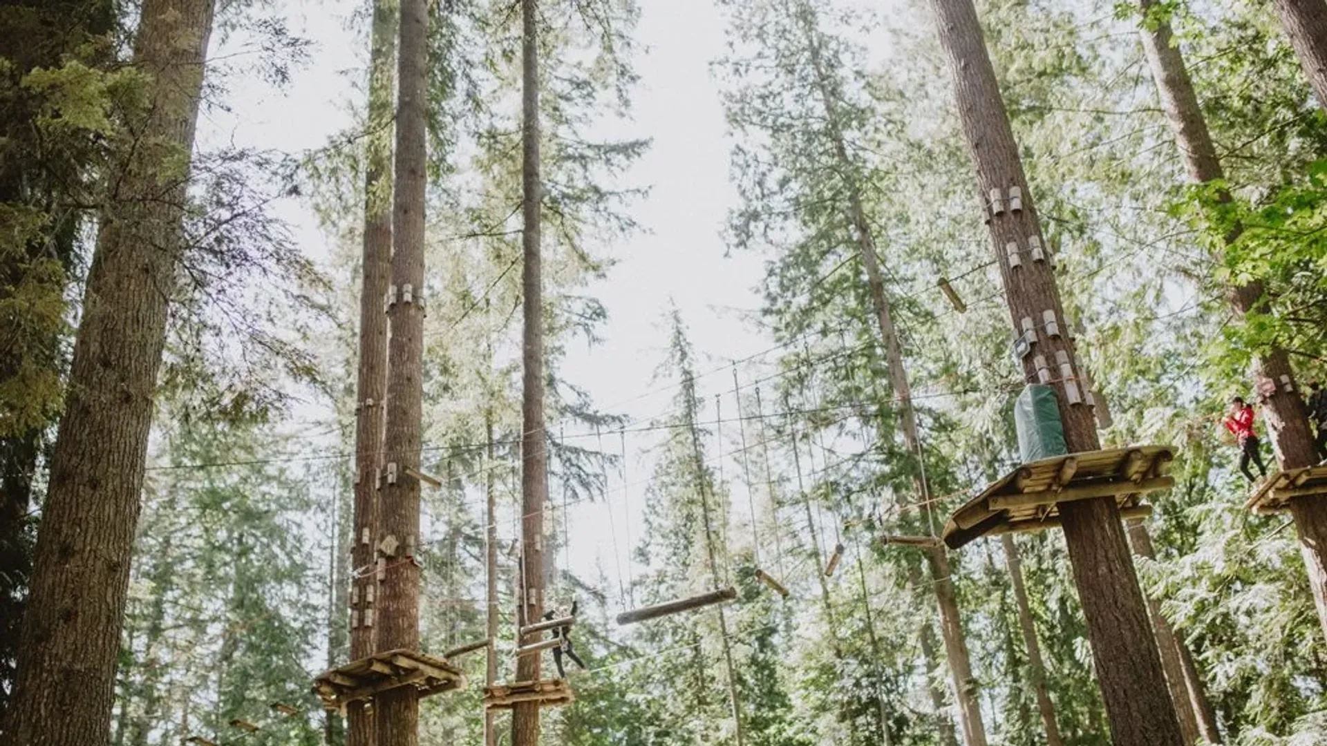 Zip and Climb at WildPlay Maple Ridge, Fern Crescent, gateway to Golden Ears, Vancouver BC