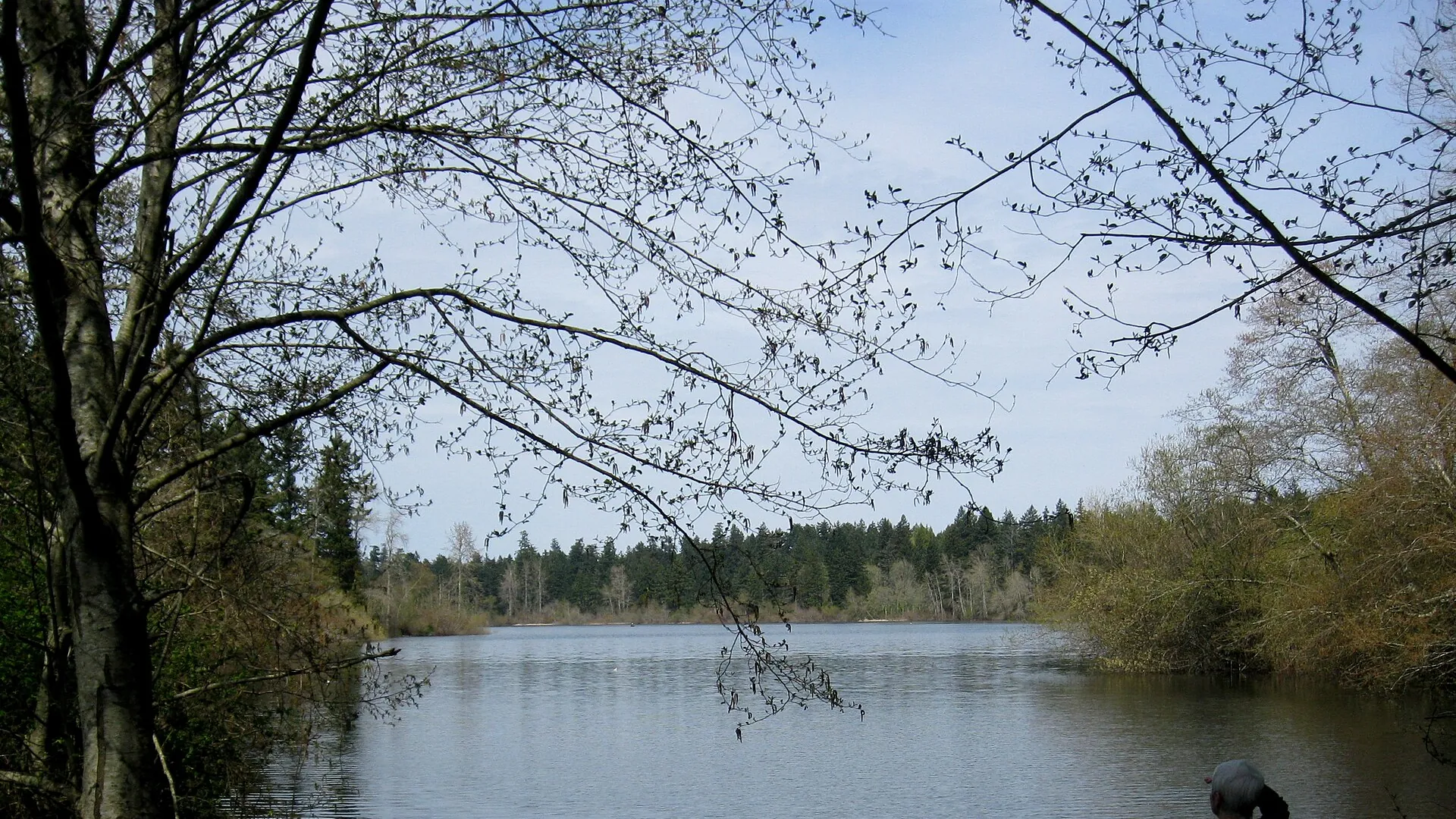 Paddle & Swim at Elk/Beaver Lake, Elk/Beaver Lake Regional Park (Hamsterly Beach), Saanich, Victoria BC