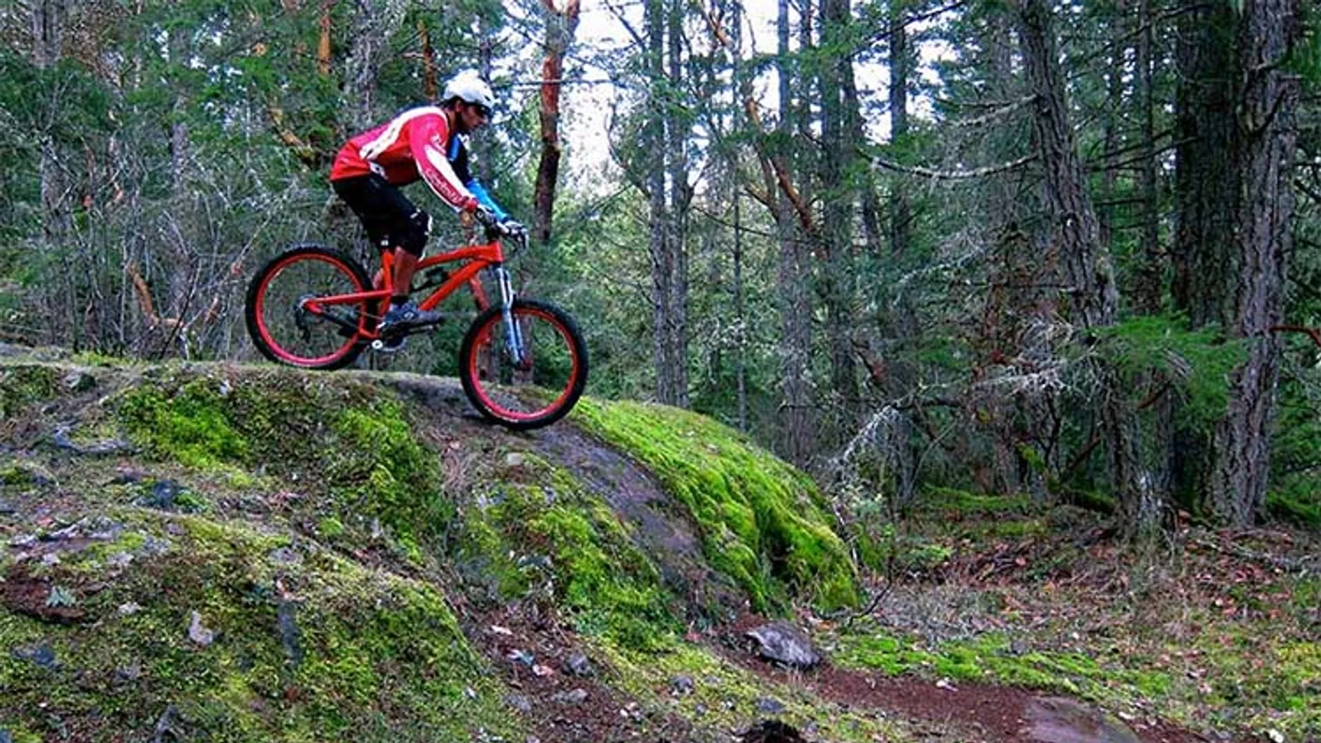 Hit the Trails at Hartland Mountain Bike Park, Hartland Mountain Bike Park, Mount Work, Highlands, Victoria BC