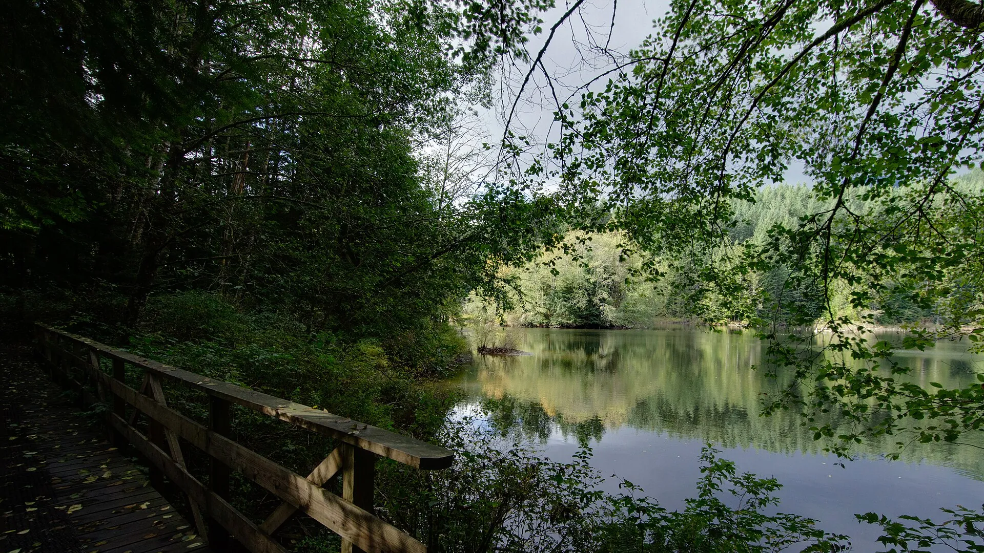 Loop Rice Lake, Lower Seymour Conservation Reserve, end of Lillooet Road, Vancouver BC