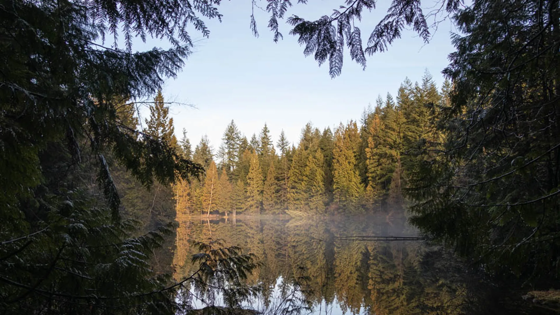 Wander the Mundy Park Forest Loop, Mundy Park, Hillcrest Street / Mariner Way, Coquitlam, Vancouver BC