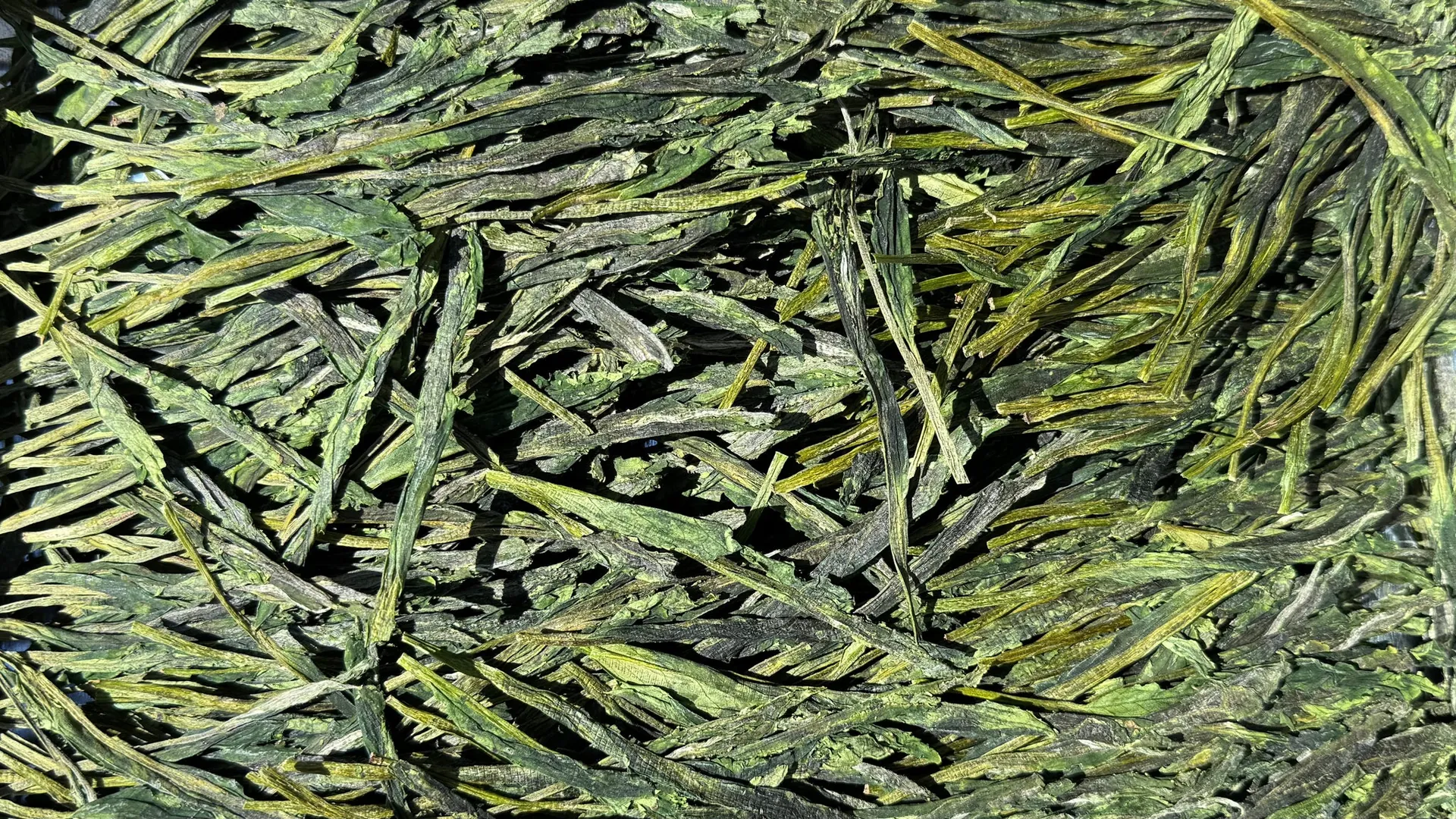 Sip Rare Tea Side-by-Side at O5, Kitsilano, Vancouver BC
