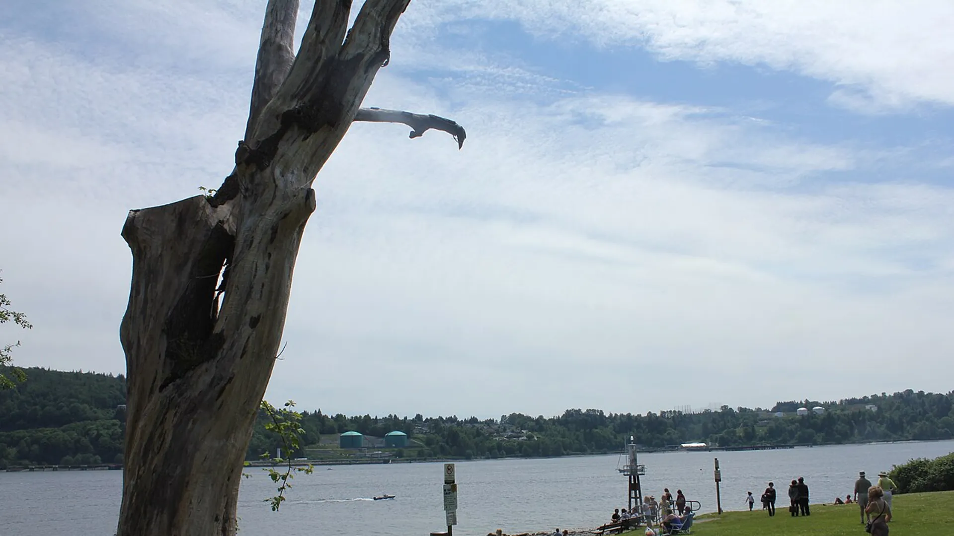 Beachcomb the Shore at Cates Park, Cates Park / Whey-ah-Wichen, Vancouver BC