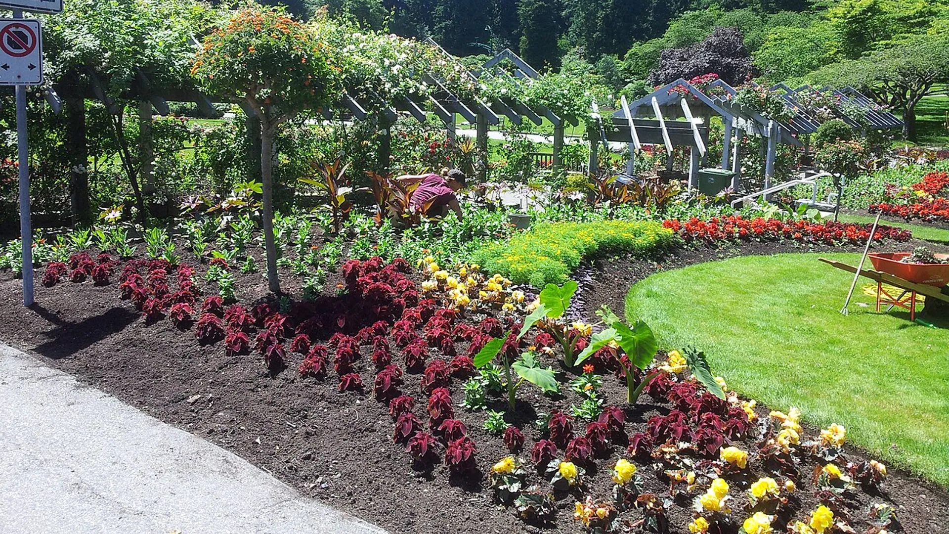 Stop and Smell 3,500 Roses, Rose Garden, Stanley Park, Vancouver BC