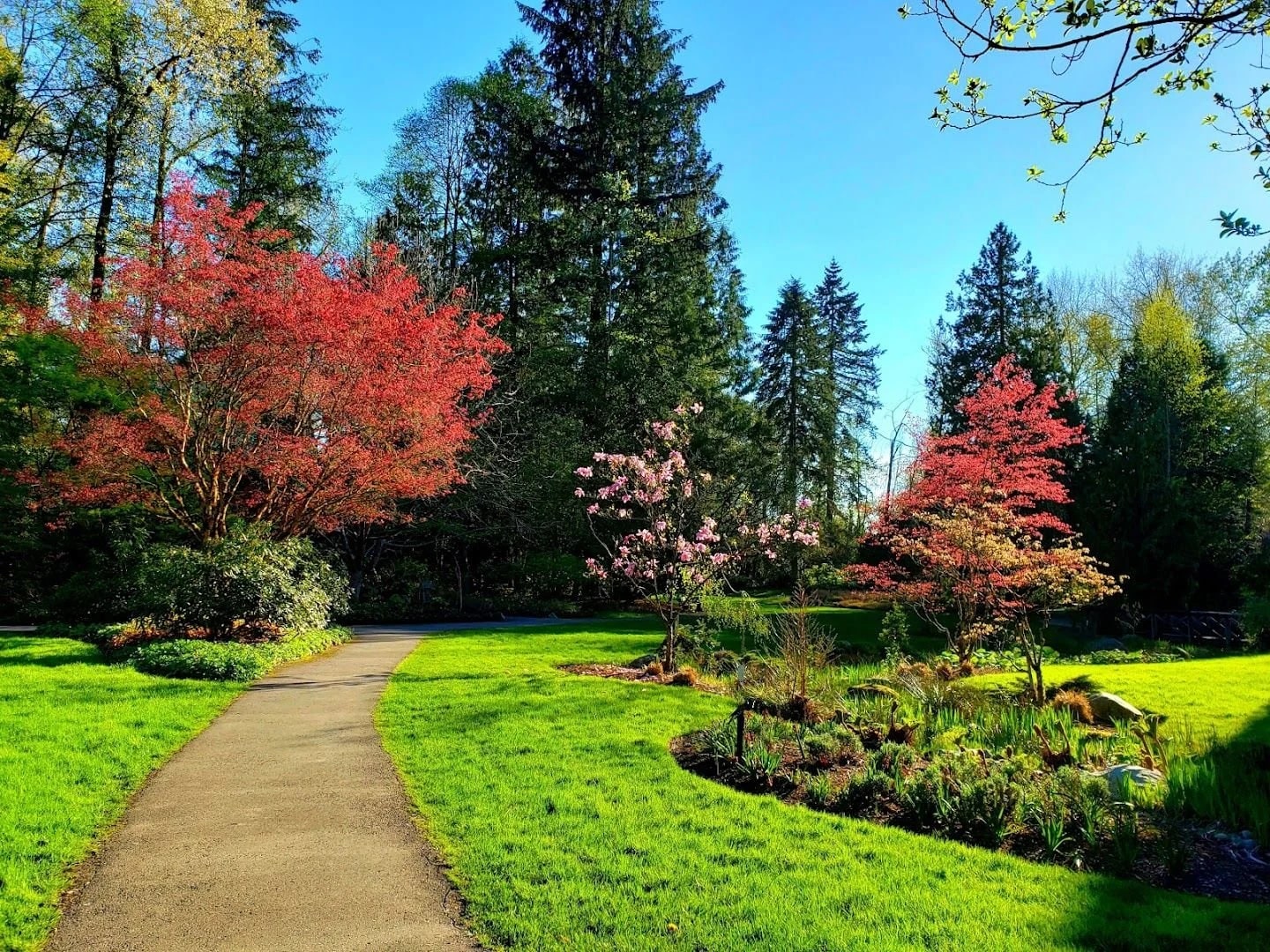Ride the Mini Train at Bear Creek Park, Bear Creek Park, King George Blvd, Vancouver BC