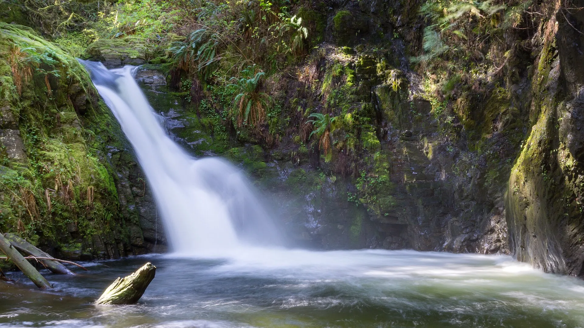 Goldstream Waterfall Walk, Goldstream Provincial Park, Langford, Victoria BC