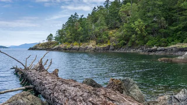 Jocelyn Hill Hike (Gowlland Tod)