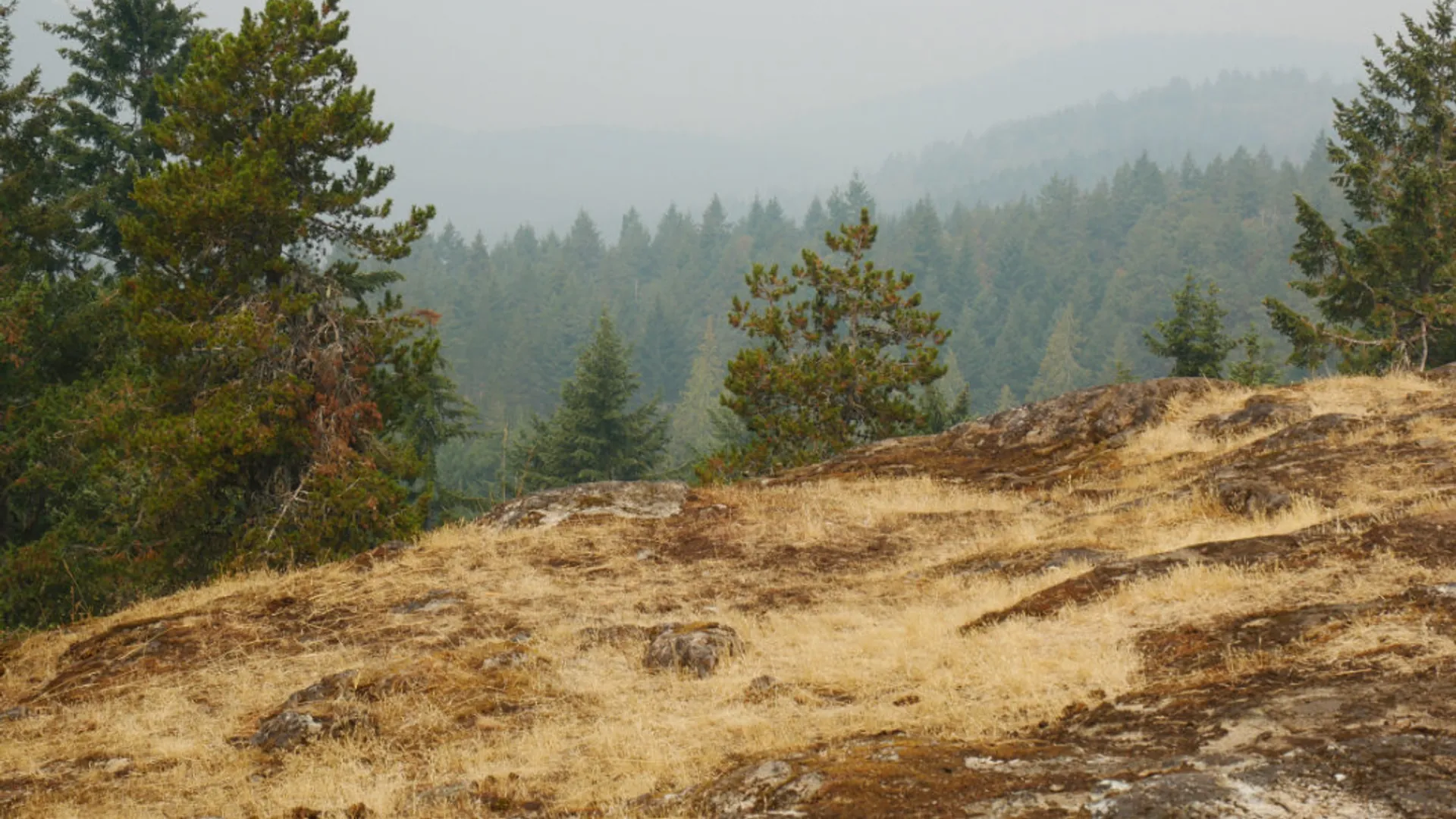 Mount Work Hike, Mount Work Regional Park (Munn Road trailhead), Highlands, Victoria BC