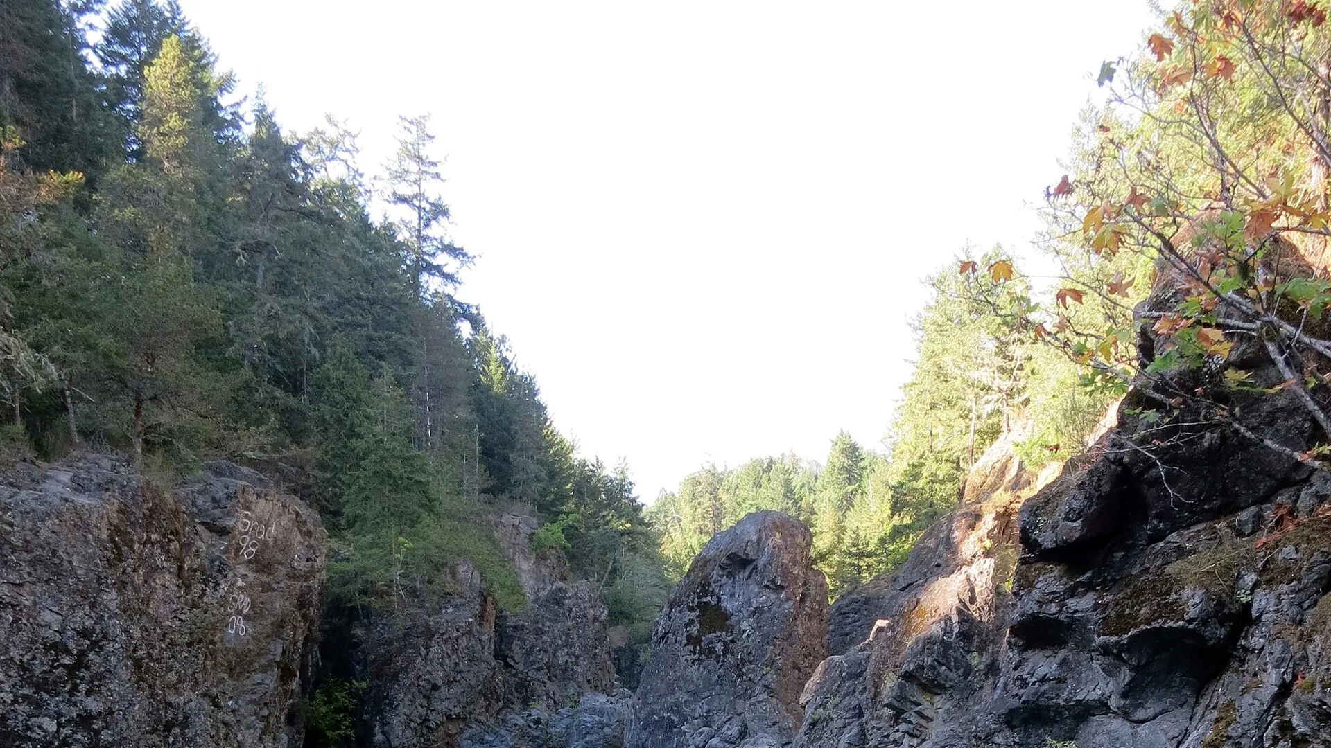 Swim the Sooke Potholes, Sooke Potholes Provincial Park, Sooke River Rd, Victoria BC