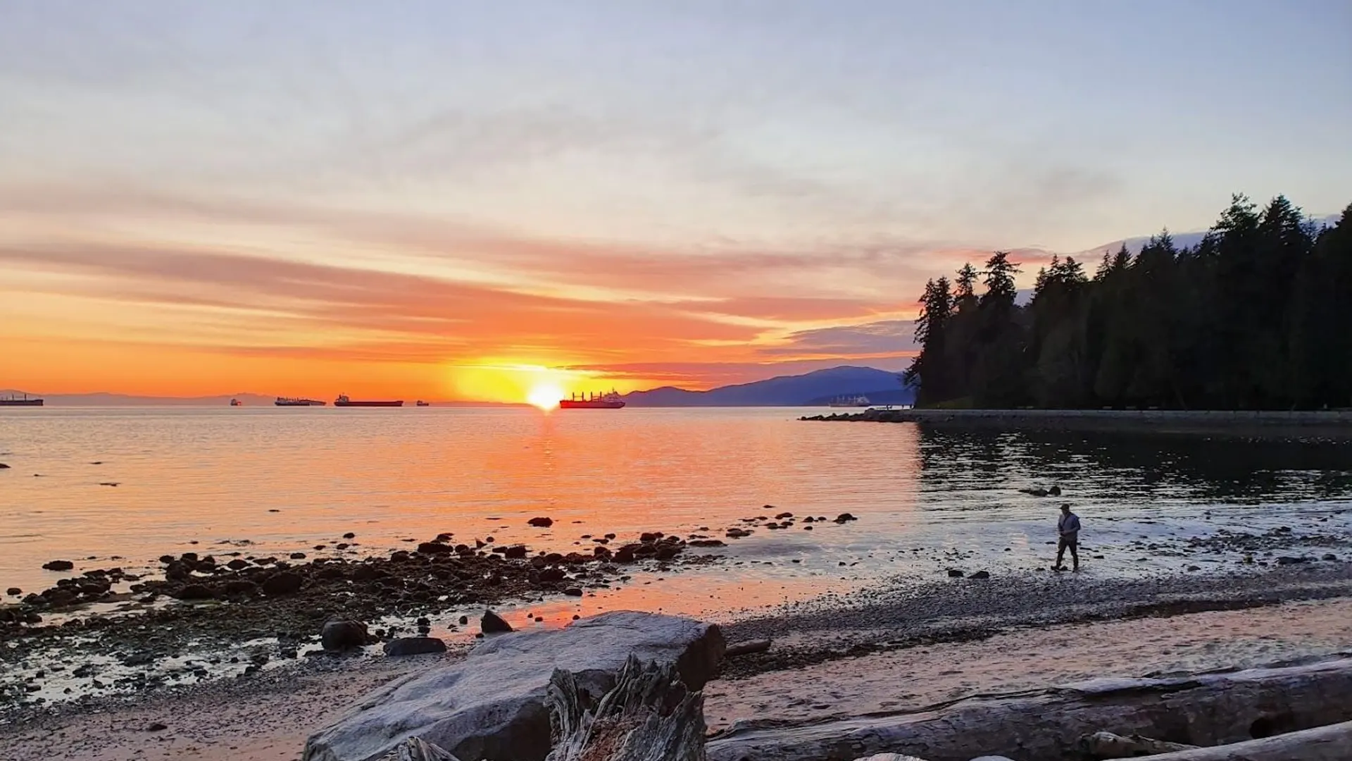 Outdoor Movies at Evo Summer Cinema, Ceperley Meadows / Second Beach, Vancouver BC