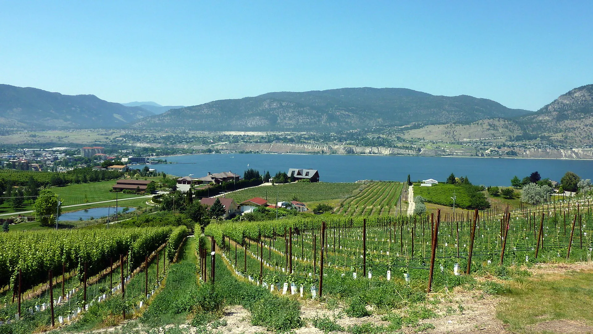 Naramata Bench: The Slow Wine Weekend, Naramata Bench, Vancouver BC