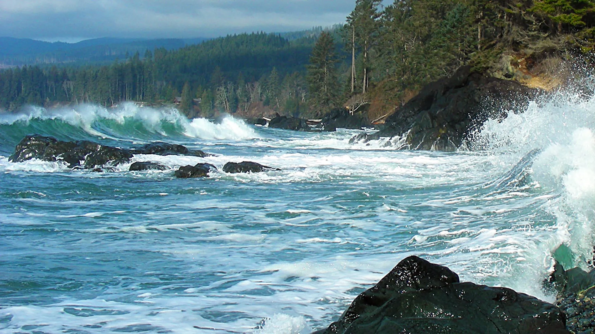 Point No Point: Oceanfront Cabin Escape, Shirley / West Coast Road, Victoria BC