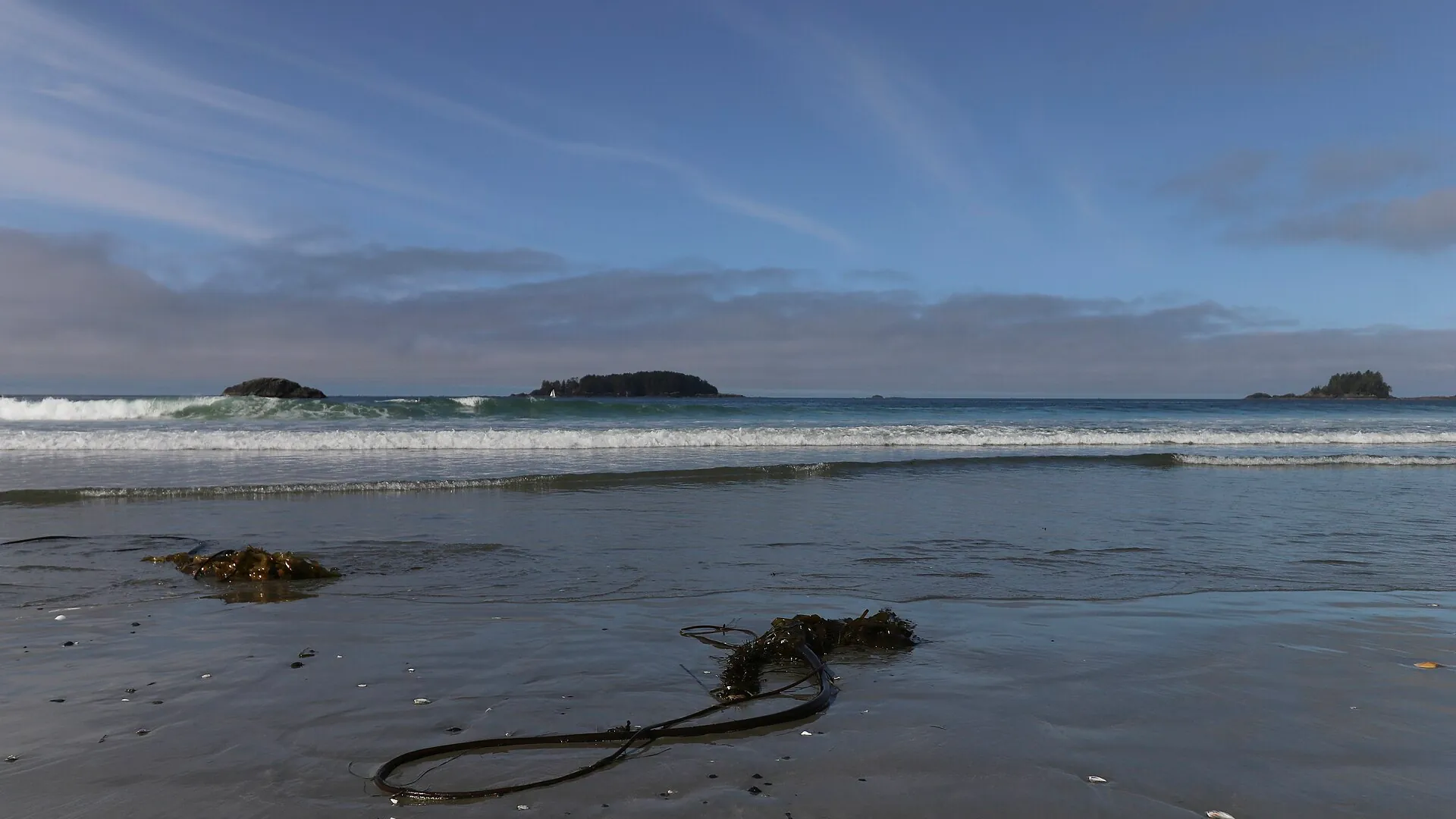 Tofino & Ucluelet: Storm-Watch & Surf Escape, Tofino & Ucluelet, Victoria BC