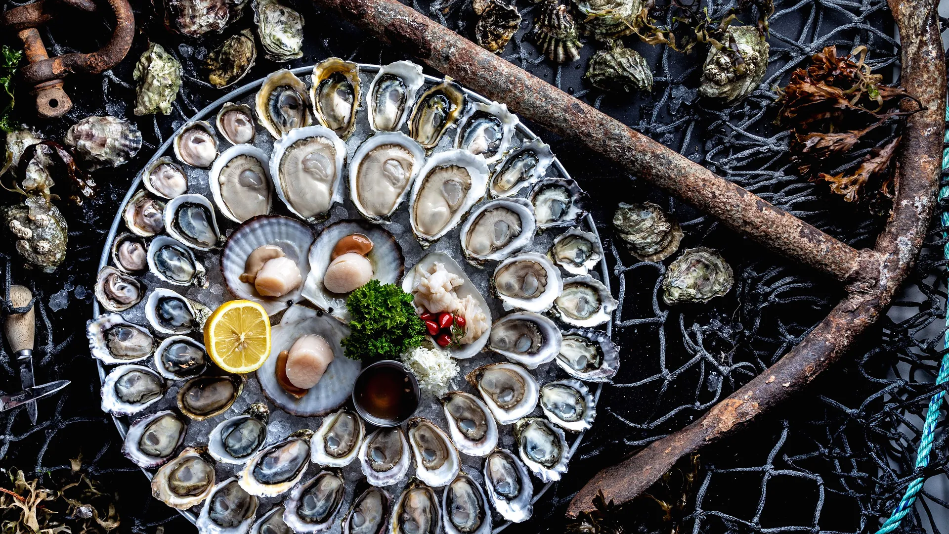 Oysters and Bubbles at Fanny Bay Oyster Bar, Cambie Street, Downtown South, Vancouver BC