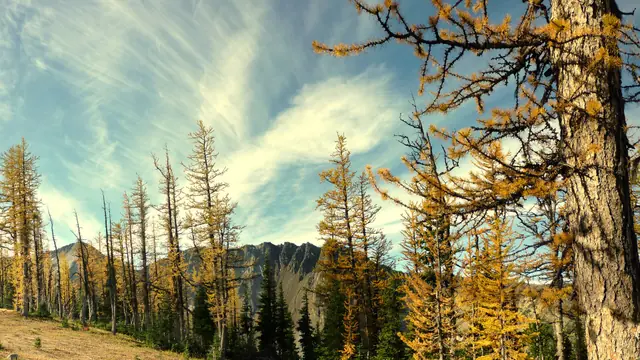 Manning Park: An Alpine Stargazing Retreat