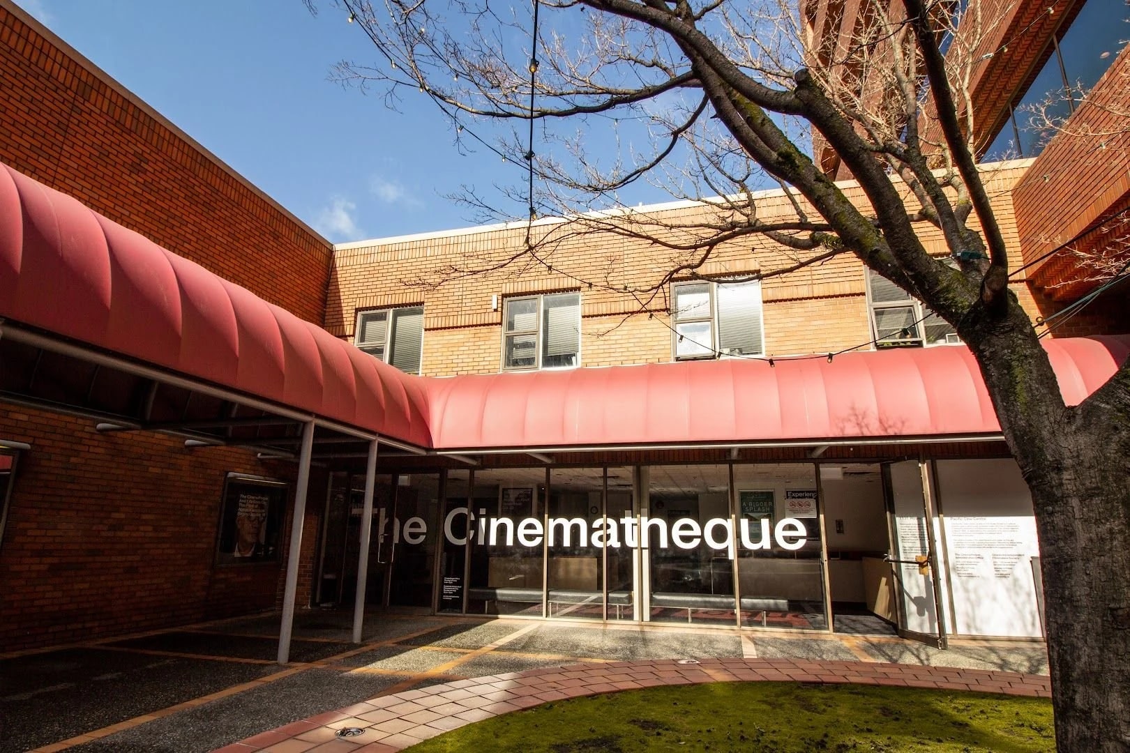 Catch a Cult Film at The Cinematheque, Downtown, Vancouver BC