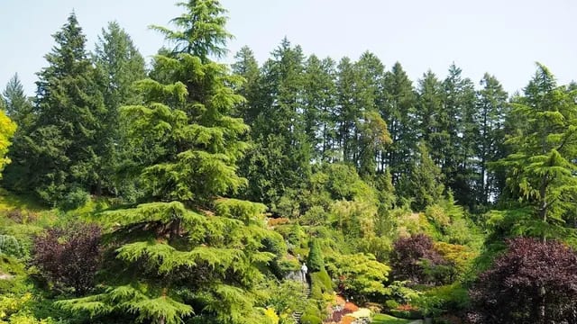 Firework Saturdays at The Butchart Gardens