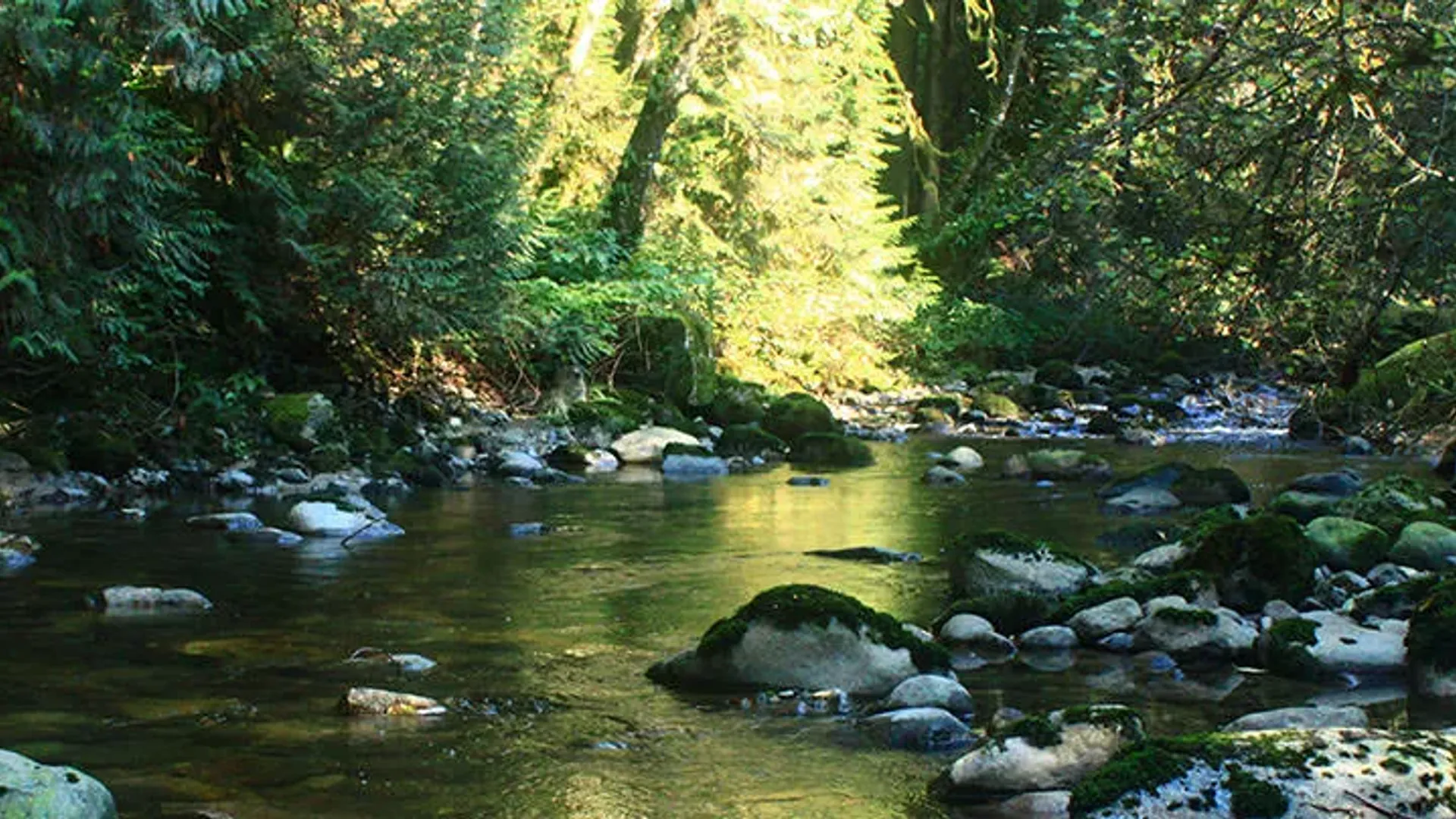 Chase Cliff Falls at Kanaka Creek, Kanaka Creek Regional Park, Cliff Falls, Vancouver BC
