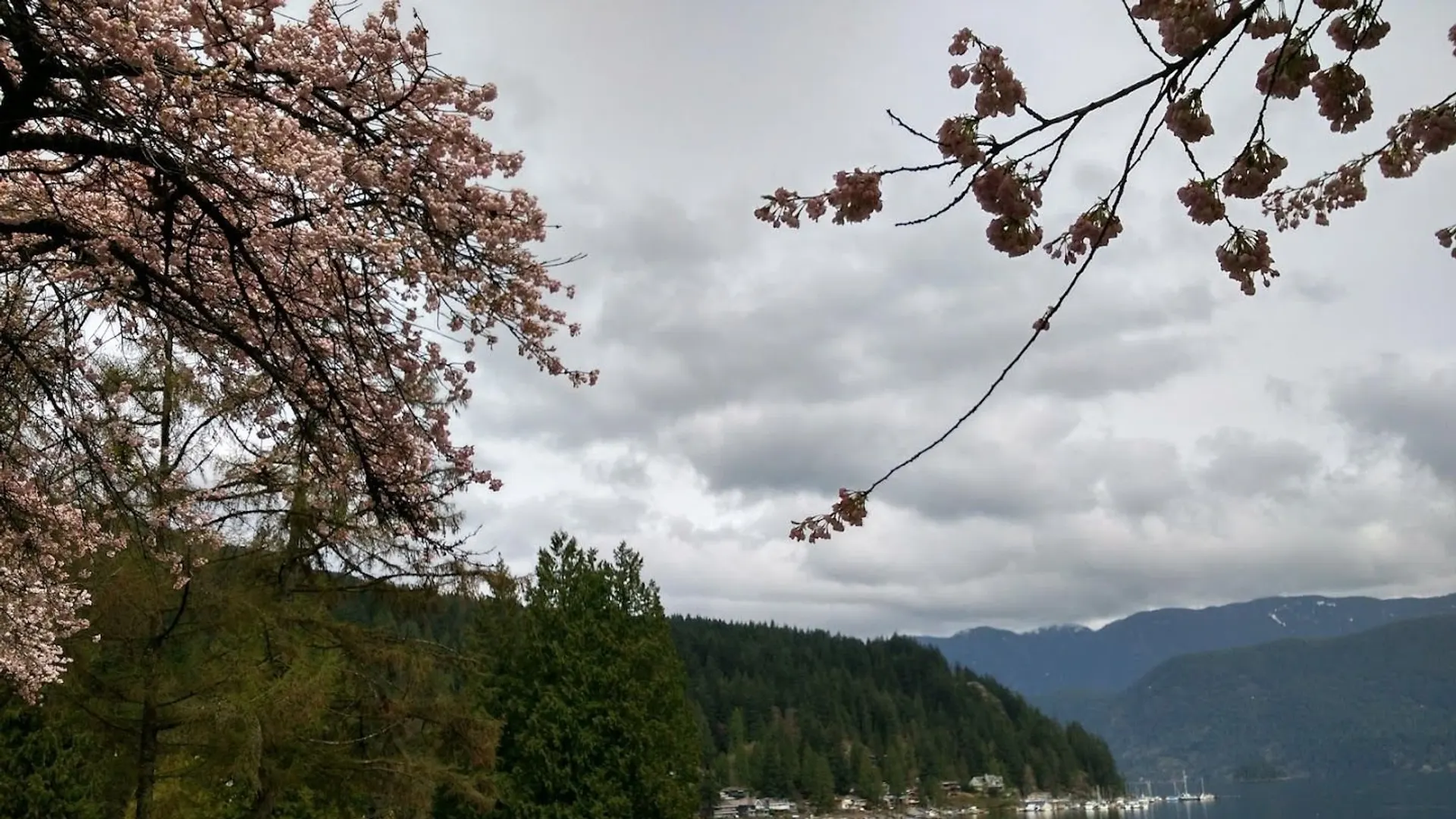Deep Cove Daze, Panorama Park, Deep Cove, Vancouver BC