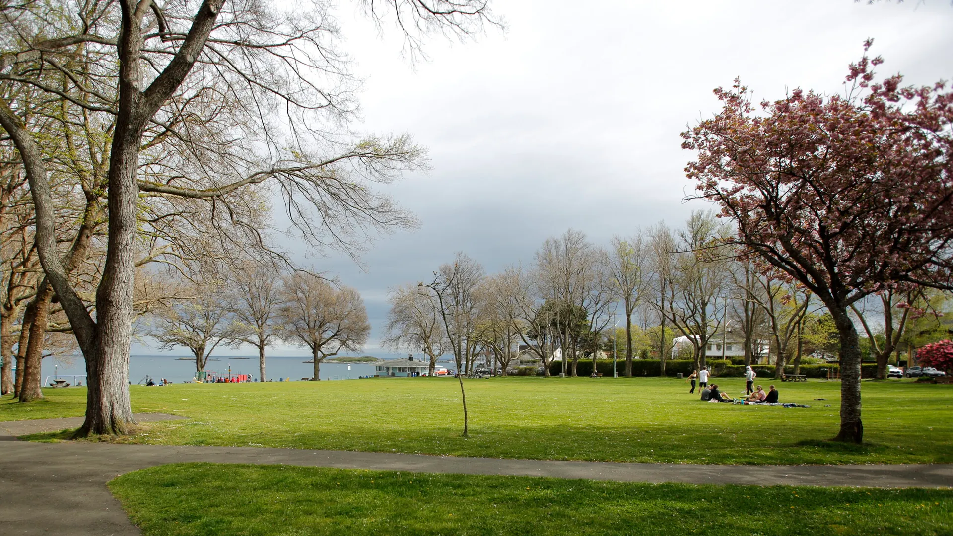 Picnic and Paddle at Willows Beach, Willows Beach, Oak Bay, Victoria BC