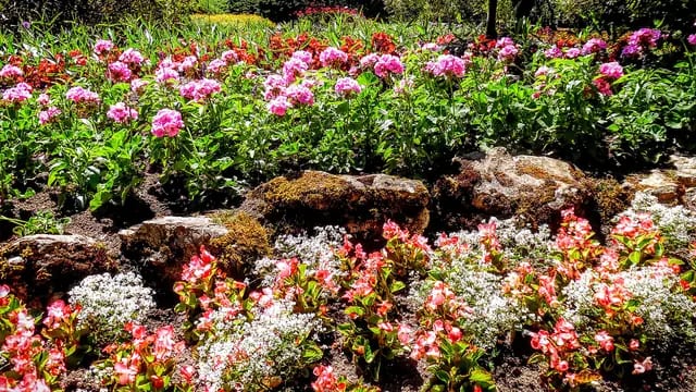 The Butchart Gardens