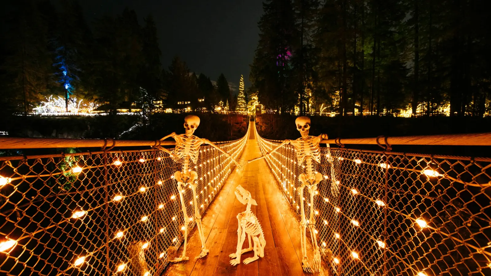 Promotional Canyon Frights photograph of skeleton decorations beside Capilano Suspension Bridge lit in orange.