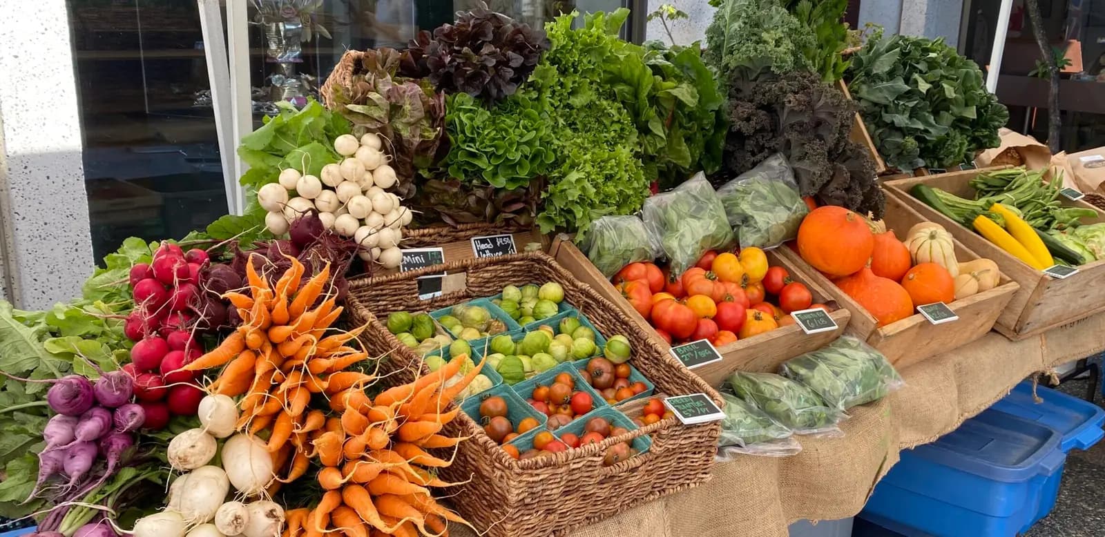 A market stall with wicker baskets and wooden crates of carrots, radishes, beets, leafy greens, tomatoes, squash and pumpkins on burlap-covered tables
