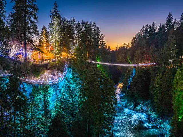 Canyon Lights at Capilano Suspension Bridge