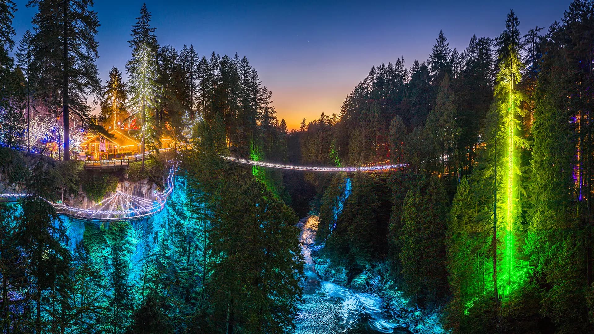 Canyon Lights at Capilano Suspension Bridge