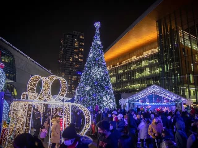 Surrey Tree Lighting Festival and Holiday Market