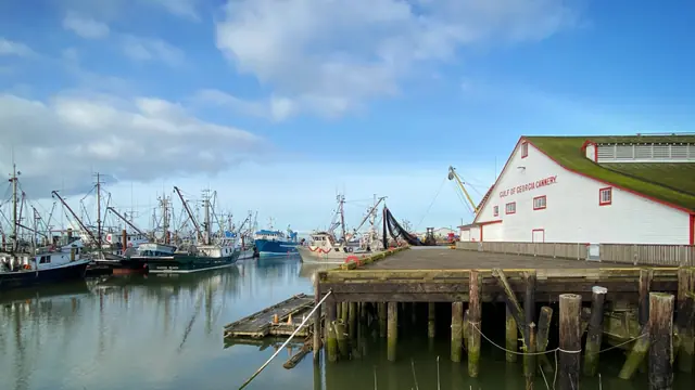 Tour the Old Cannery in Steveston