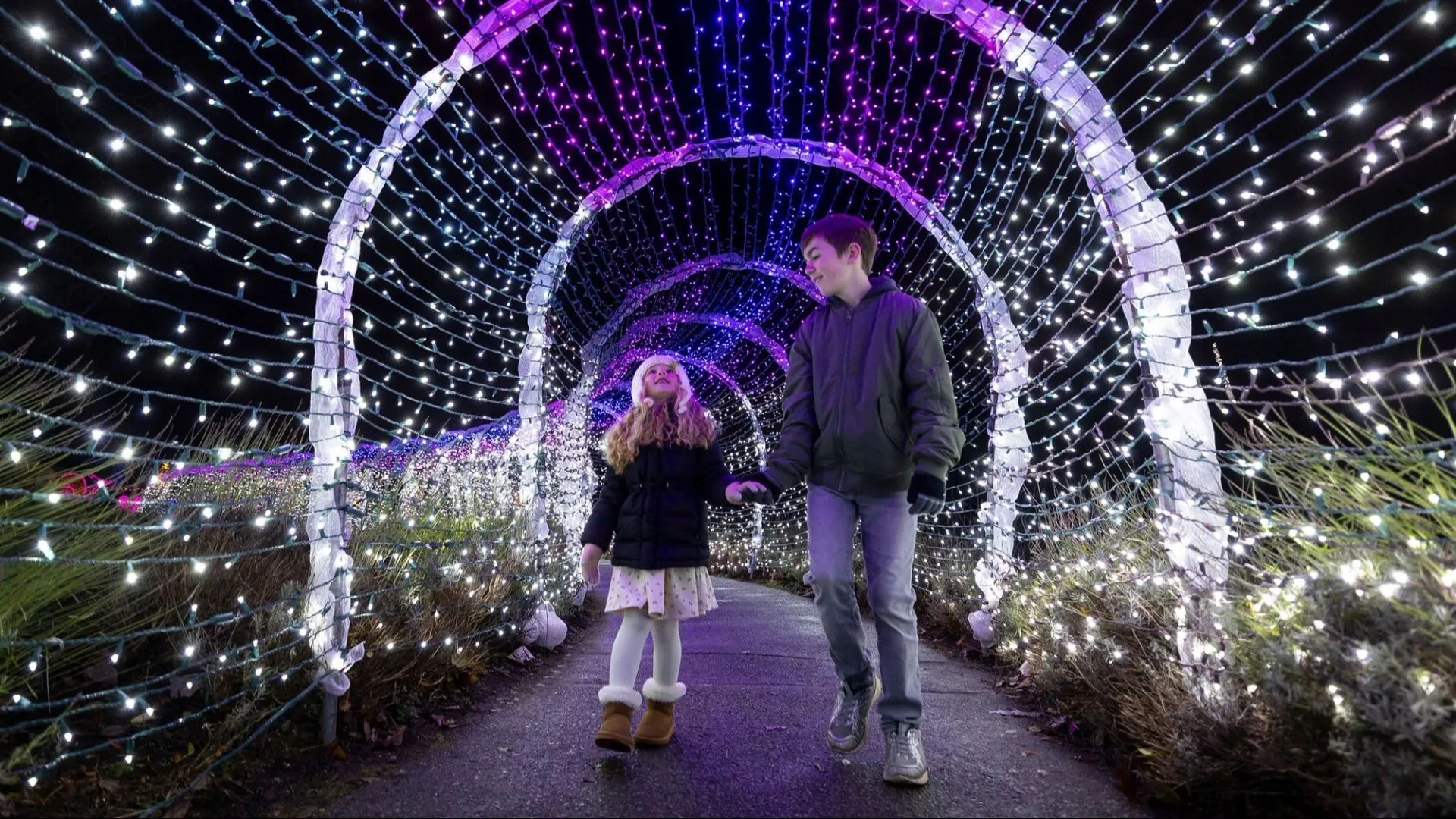 VanDusen Festival of Lights