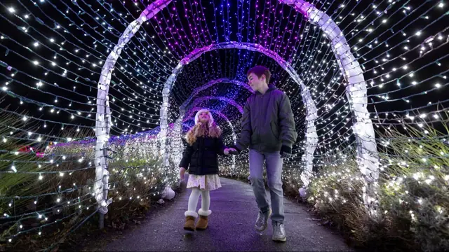 VanDusen Festival of Lights