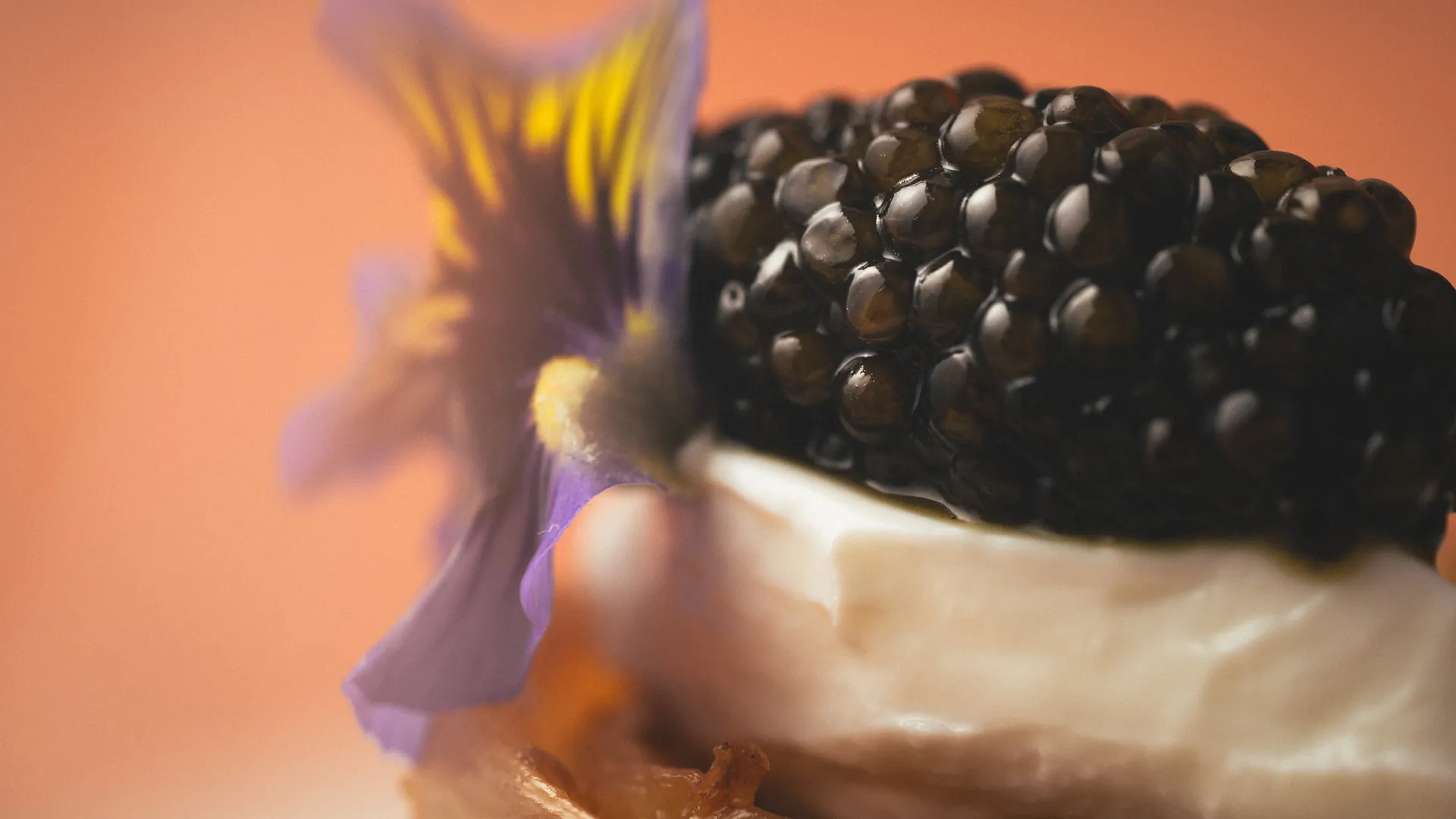 Michelin Tasting at Burdock & Co